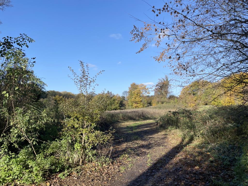 Lot: 14 - OVER 18 ACRES OF LAND RUNNING ALONG THE RIVER MEDWAY TOWPATH - View of land